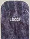 LS008