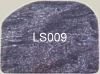 LS009